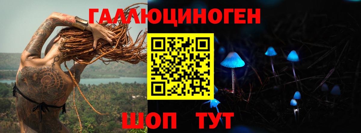 Сызрань  Галлюциногенные грибы Psilocybe  Вход с VPN 